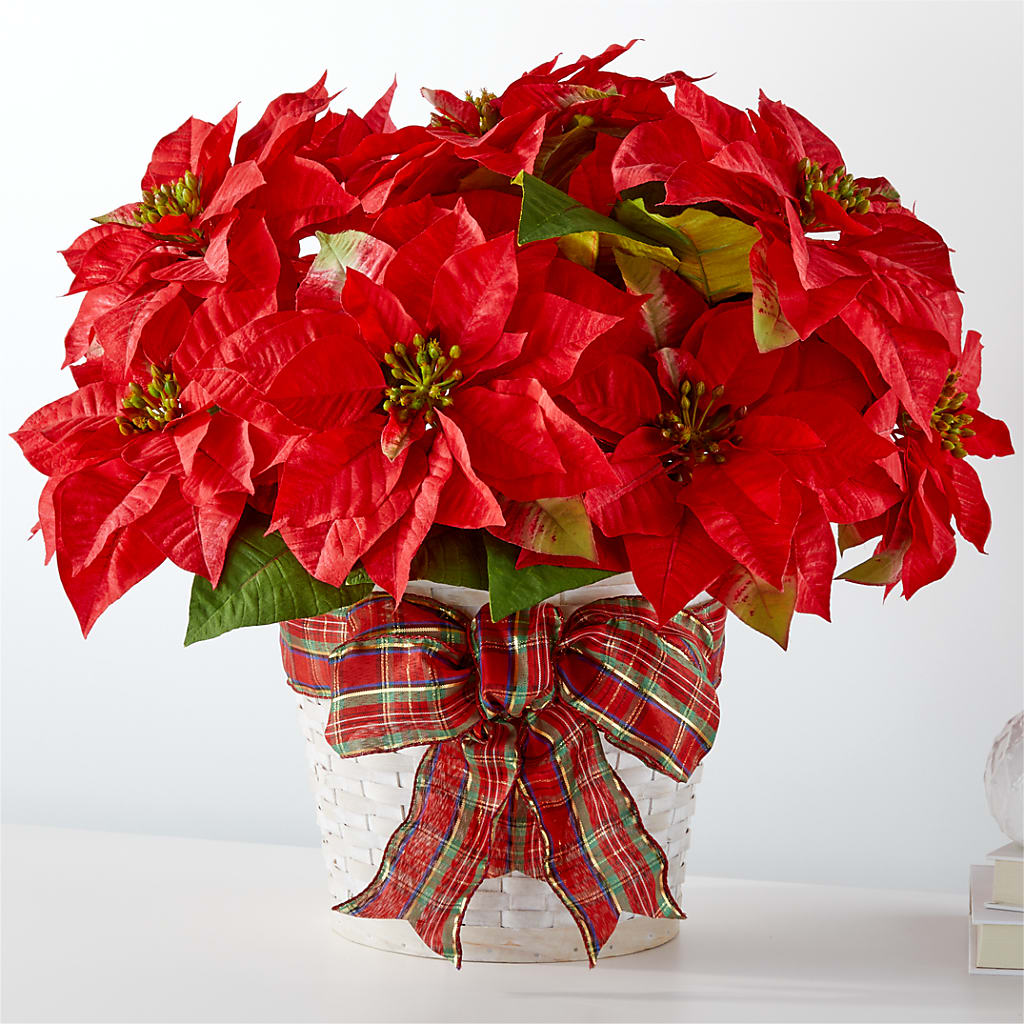 Happiest Holidays Poinsettia – The Blessed Florist, Brandon FL