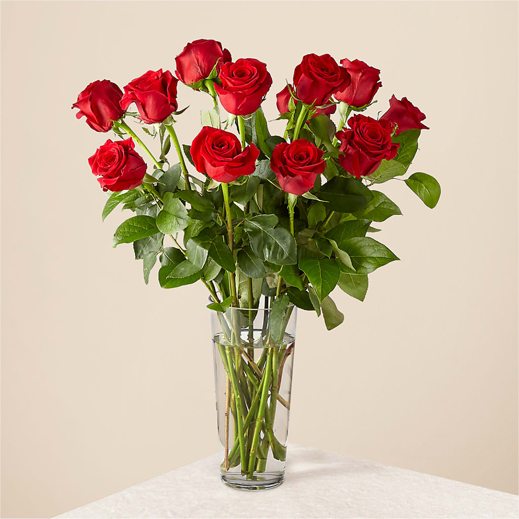 Long Stem Red Rose Bouquet – The Blessed Florist, Brandon FL