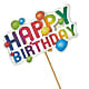 Happy Birthday Pick – The Blessed Florist, Brandon FL