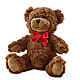 Adorable Plush Bear – The Blessed Florist, Brandon FL