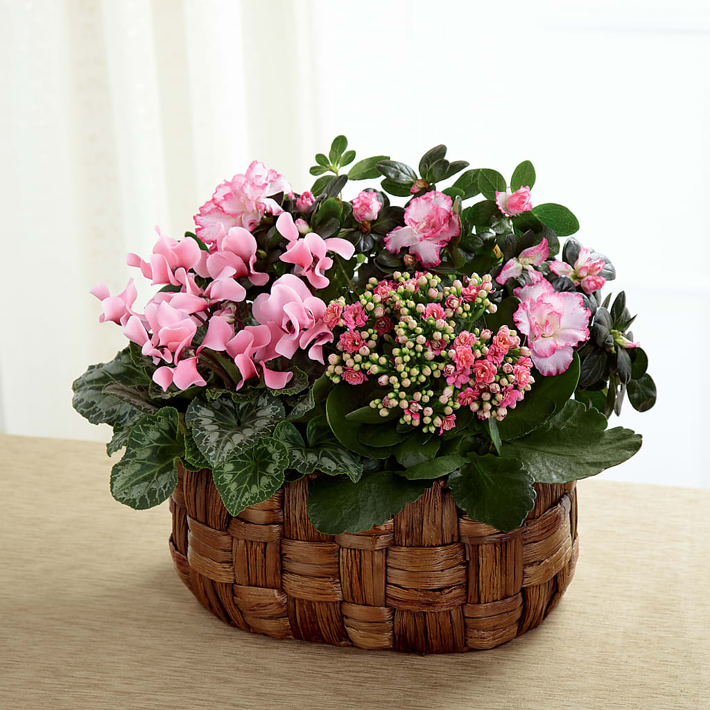Pink Assortment – The Blessed Florist, Brandon FL