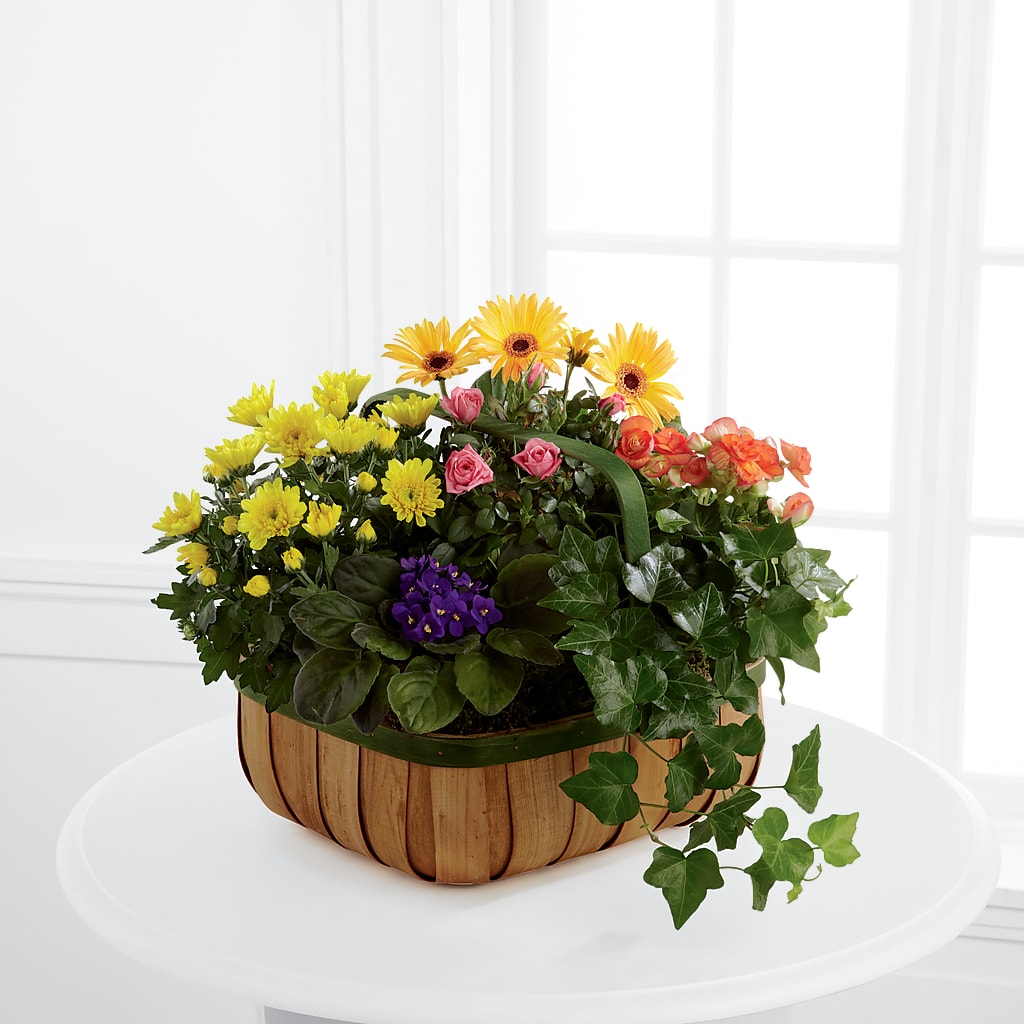 Gentle Blossoms Basket – The Blessed Florist, Brandon FL