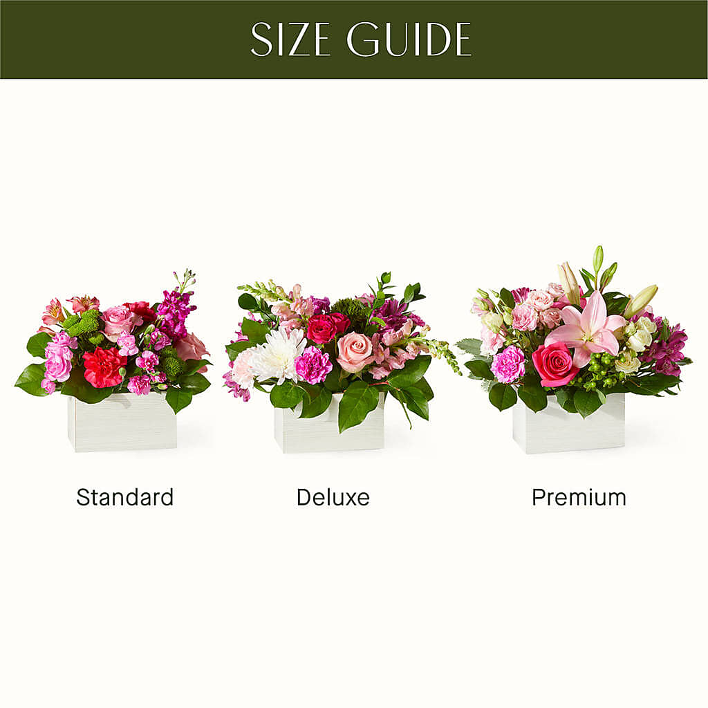 Sweetberry Box – A Florist Original – The Blessed Florist, Brandon FL