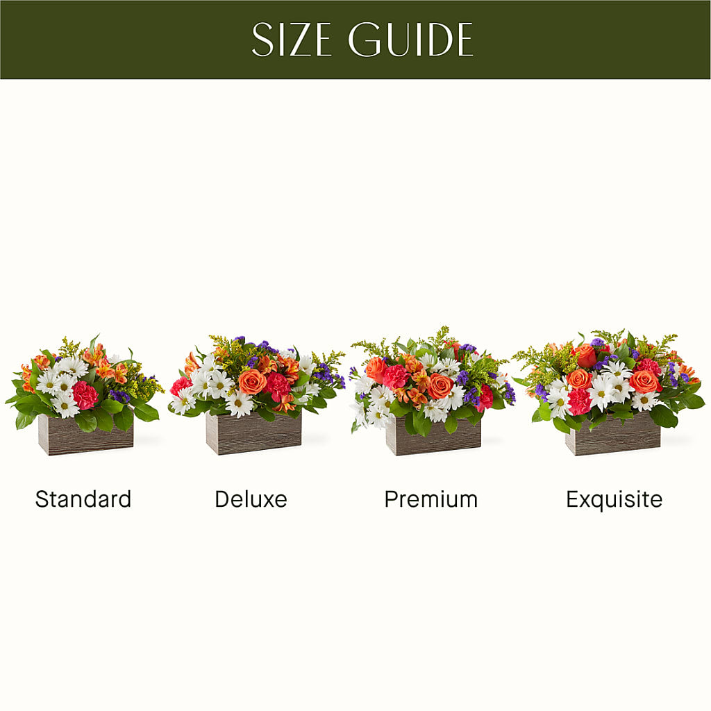 Oopsie Daisy Box Bouquet – The Blessed Florist, Brandon FL