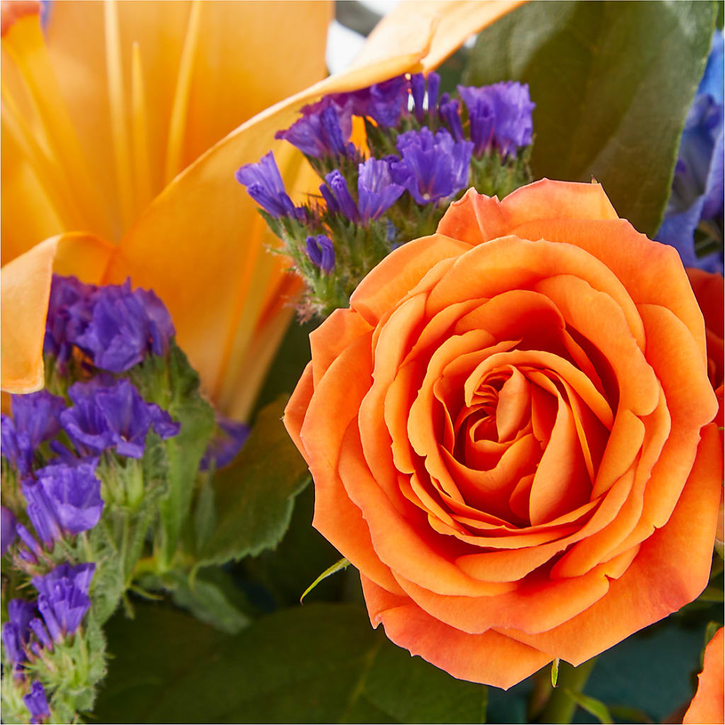 Radiant Citrus Box Bouquet – The Blessed Florist, Brandon FL