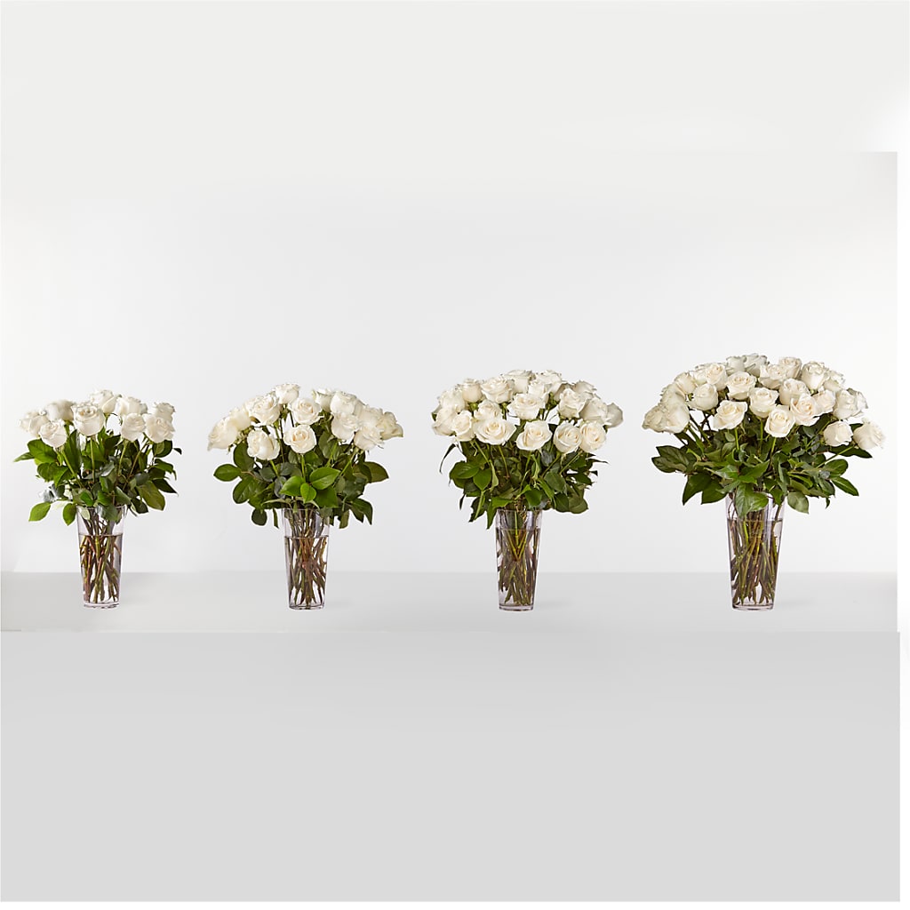 Long Stem White Rose Bouquet – The Blessed Florist, Brandon FL