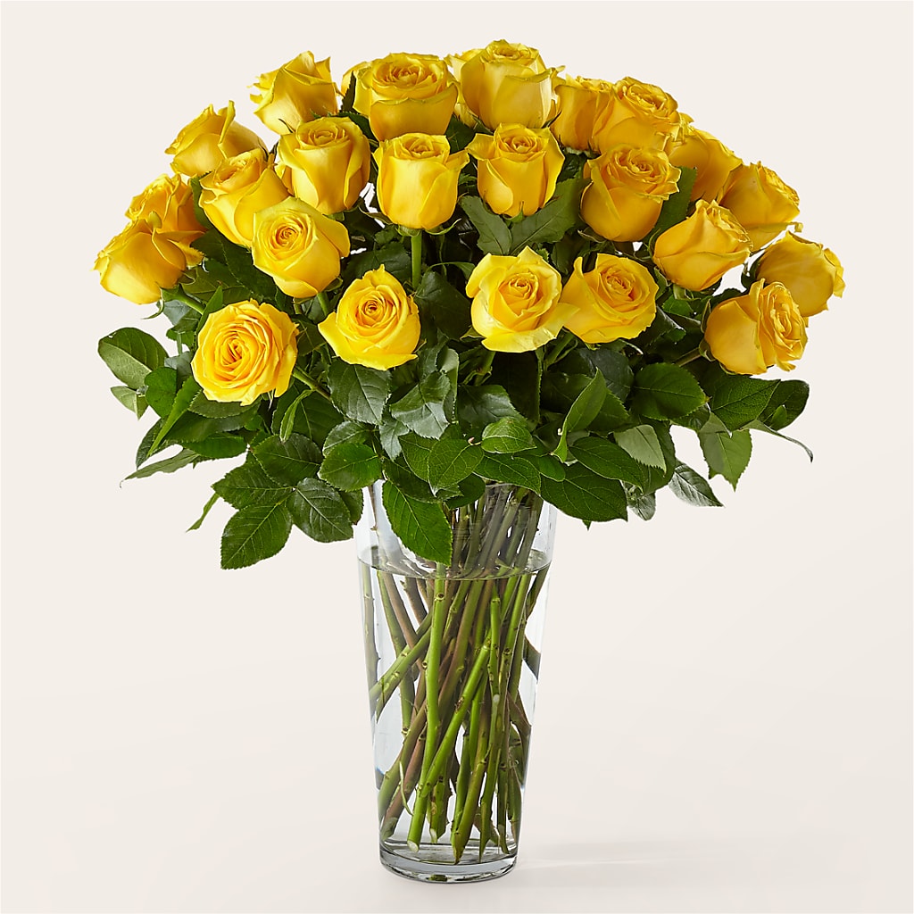 Long Stem Yellow Rose Bouquet – The Blessed Florist, Brandon FL