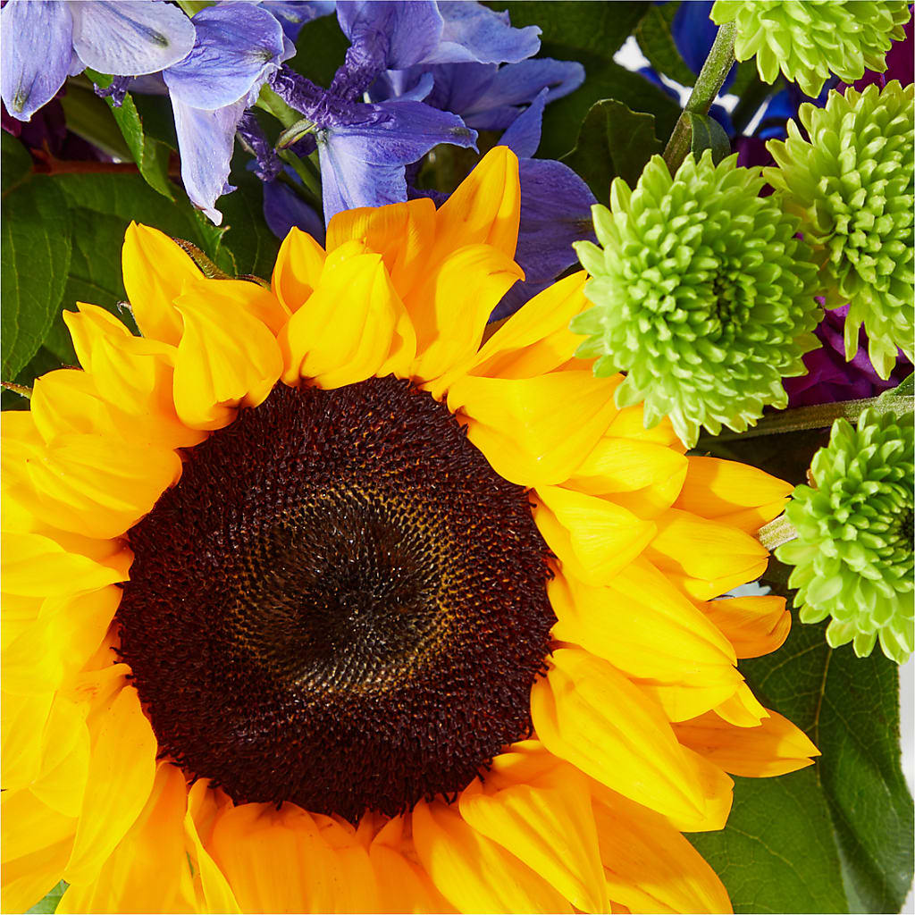 Catching Rays Bouquet – The Blessed Florist, Brandon FL
