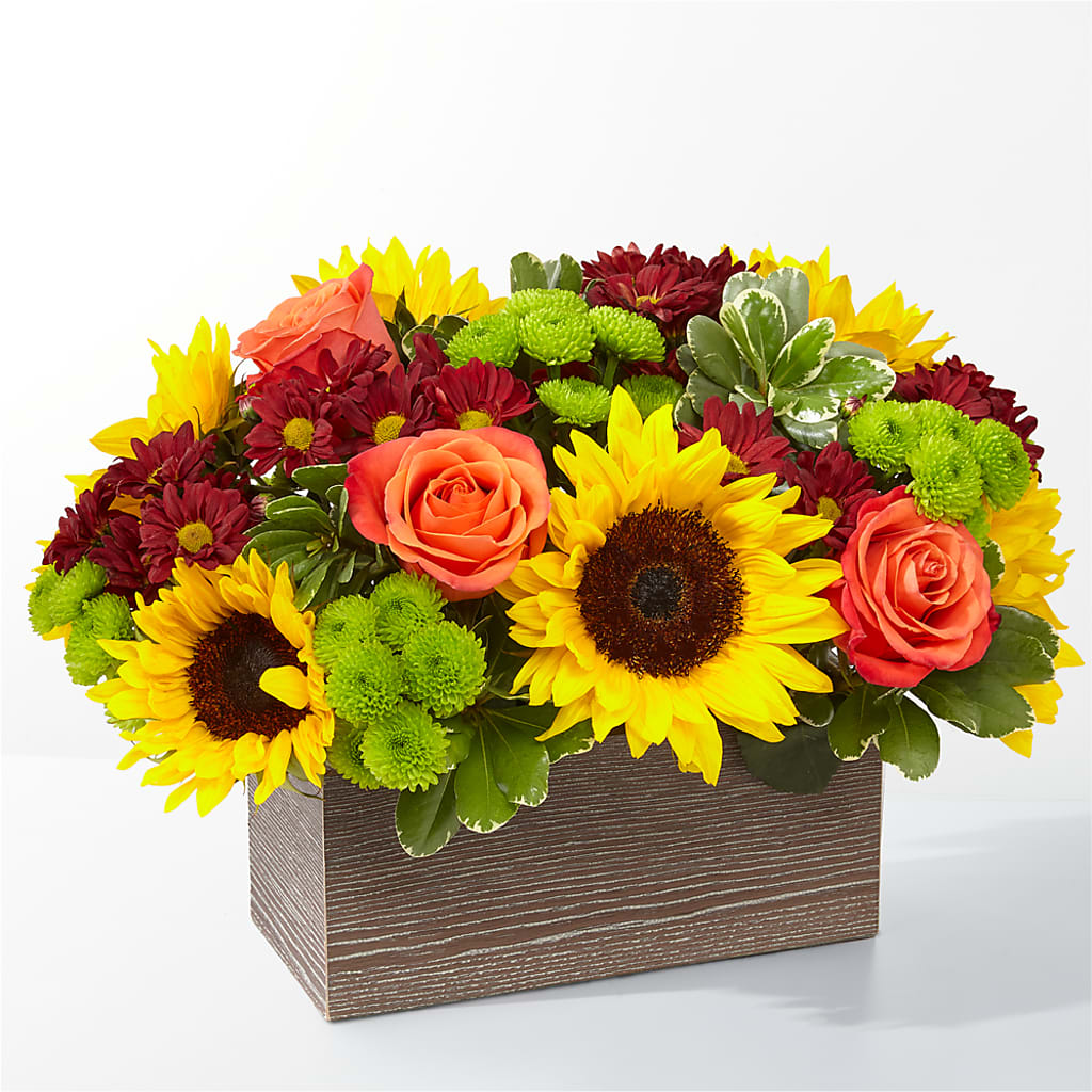 Happy Harvest Garden – The Blessed Florist, Brandon FL