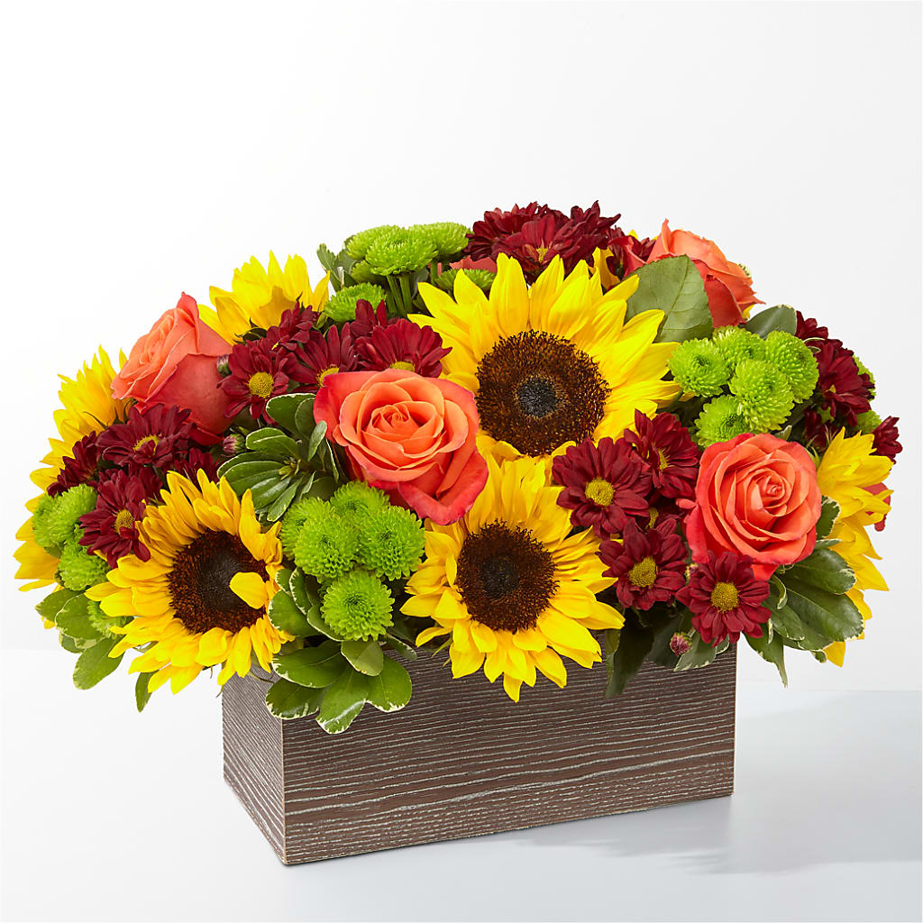Happy Harvest Garden – The Blessed Florist, Brandon FL