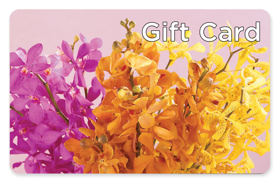 Gift Card – The Blessed Florist, Brandon FL
