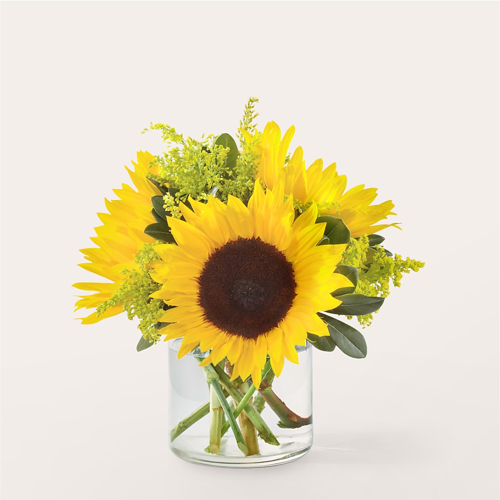 Beaming Sunflower Bouquet – The Blessed Florist, Brandon FL