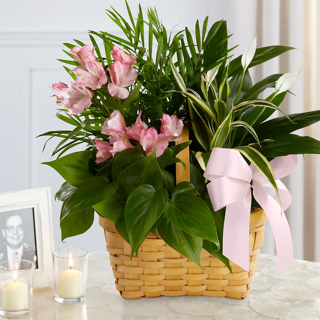 Living Spirit Dishgarden – The Blessed Florist, Brandon FL