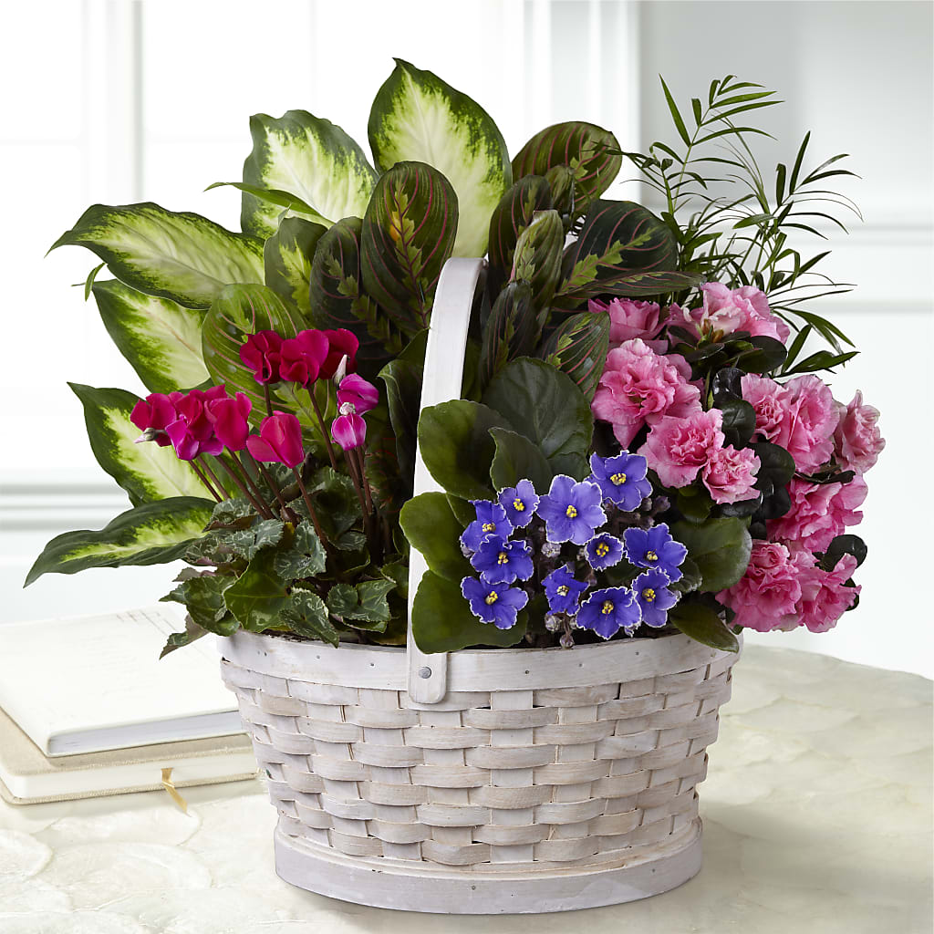 Peaceful Garden Planter – The Blessed Florist, Brandon FL