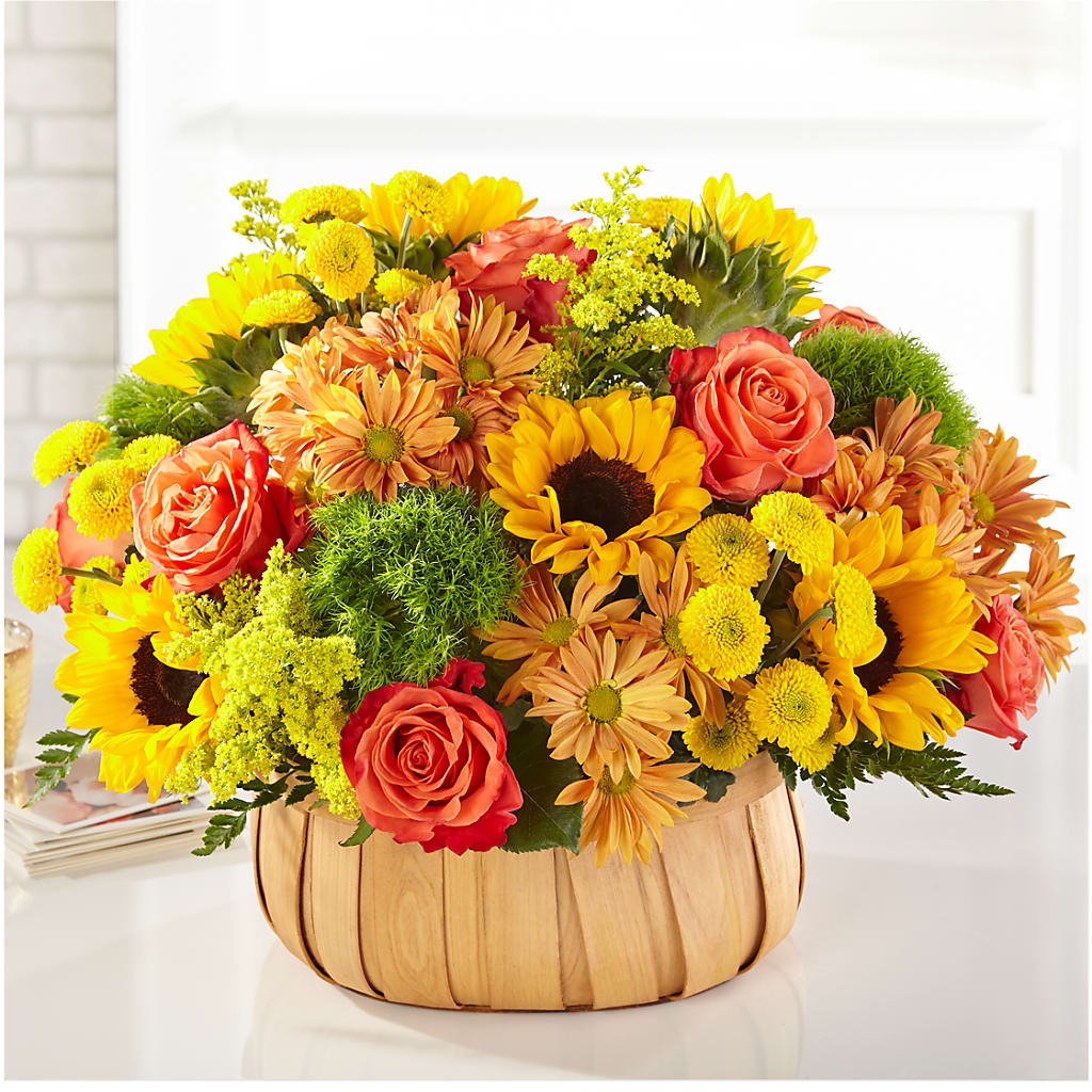 Harvest Sunflower Basket – The Blessed Florist, Brandon FL