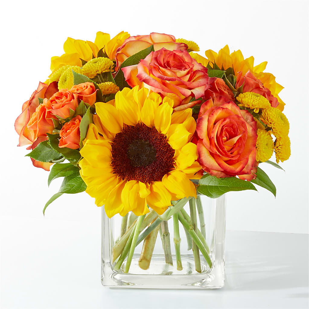 Picnic in the Park Bouquet – The Blessed Florist, Brandon FL