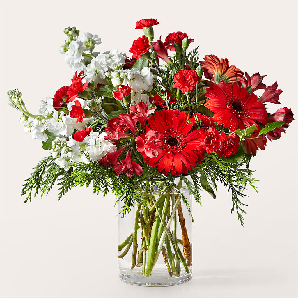 Holidaisy Bouquet – The Blessed Florist, Brandon FL