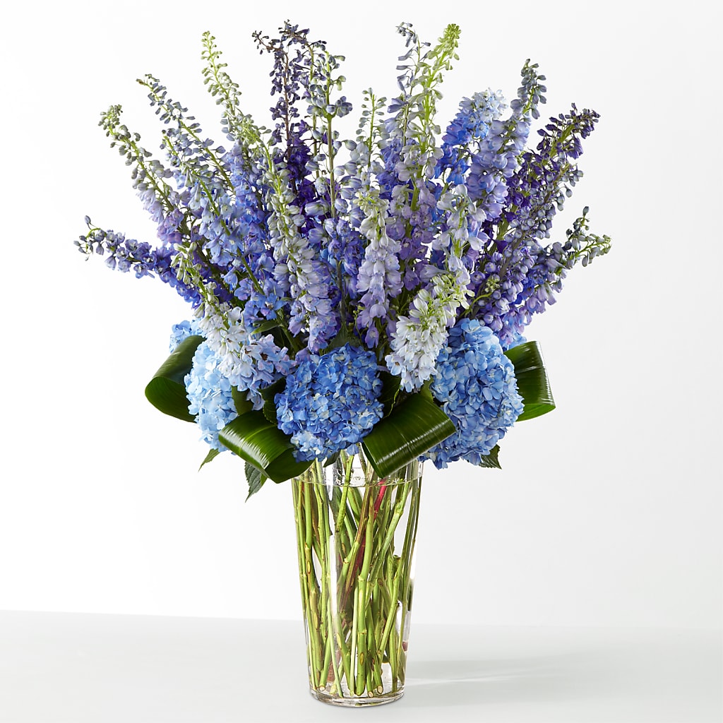 The Editorial – The Blessed Florist, Brandon FL