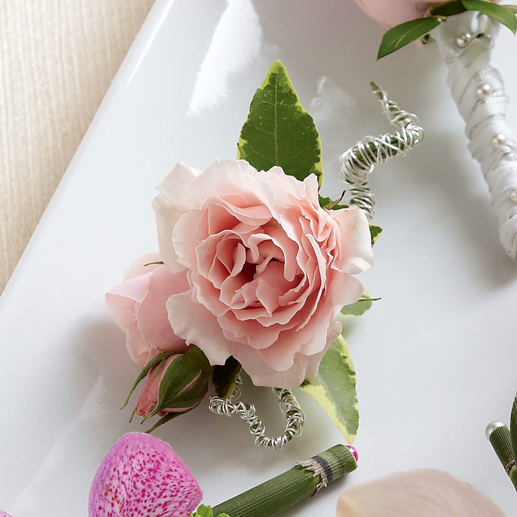 Pink Spray Rose Boutonniere – The Blessed Florist, Brandon FL