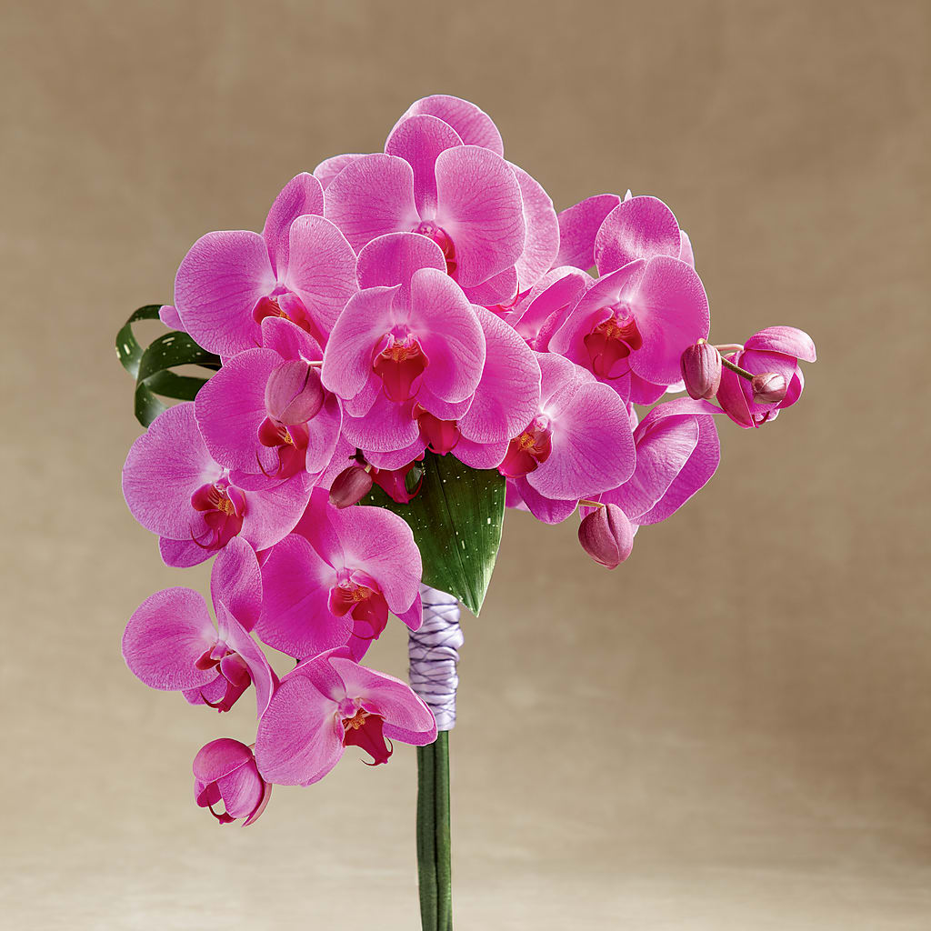 Glorious Bouquet – The Blessed Florist, Brandon FL