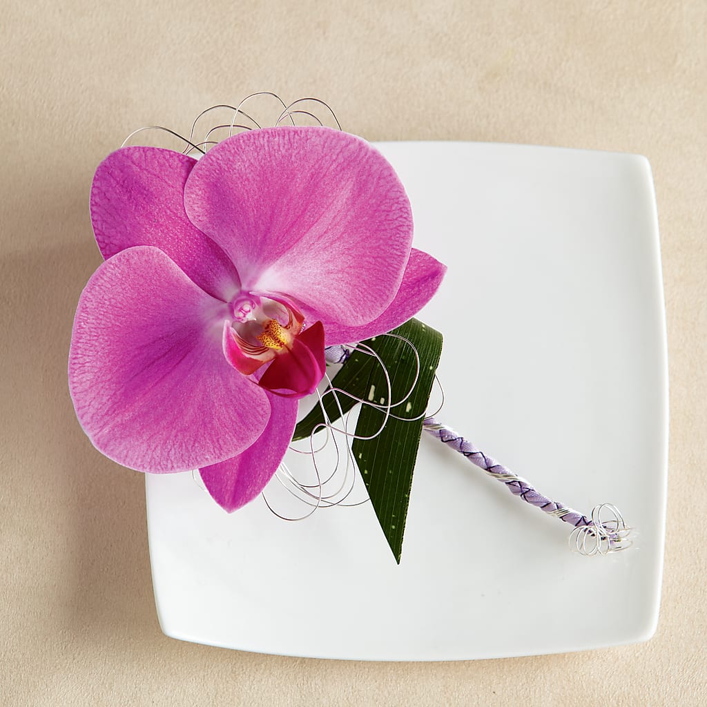 Glorious Boutonniere – The Blessed Florist, Brandon FL