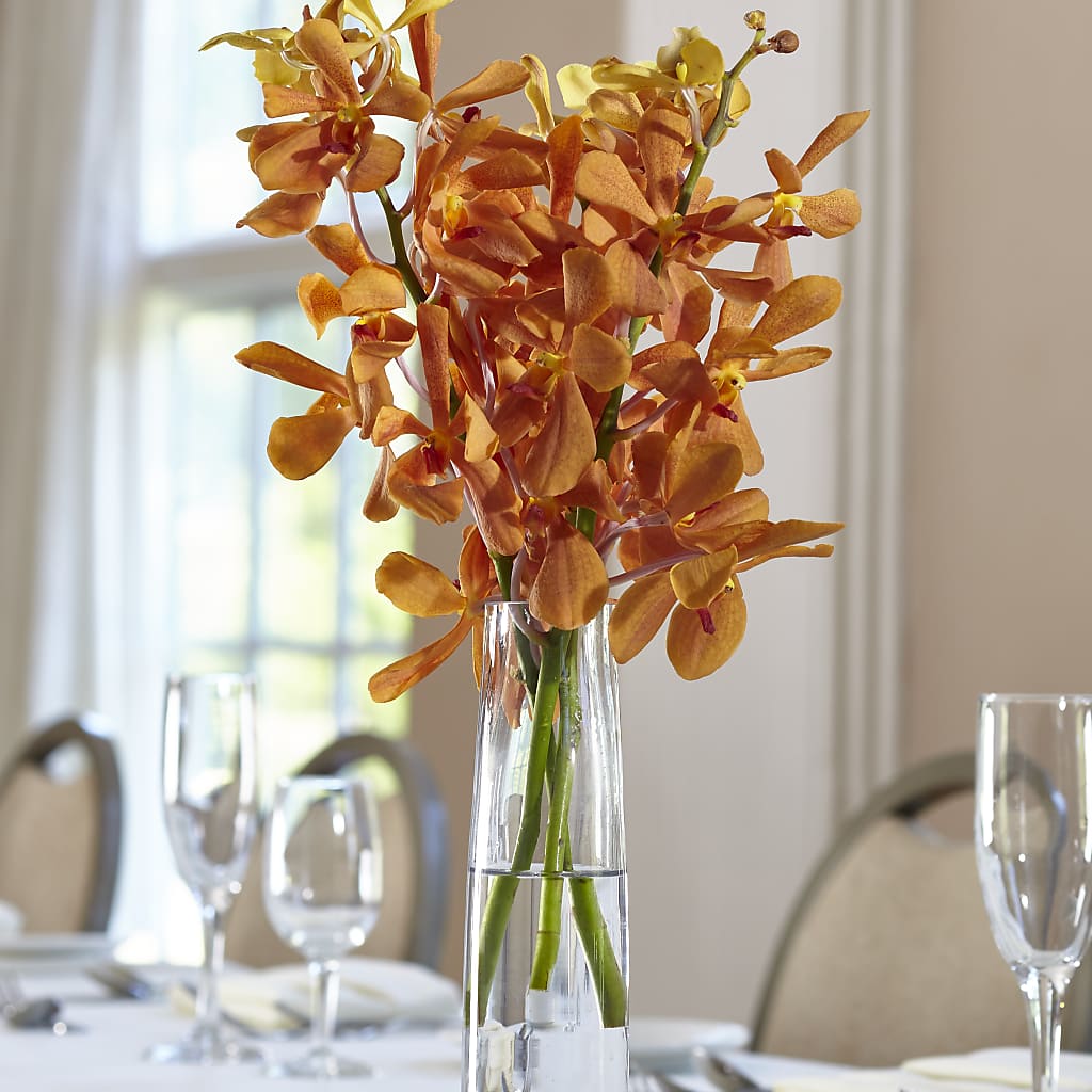 Orange Mokara Bud Vase – The Blessed Florist, Brandon FL