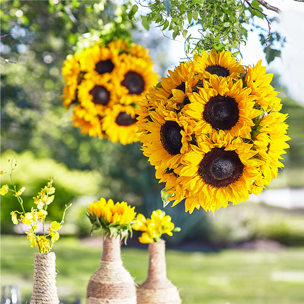 Sublime Garden Hanging Arrangement – The Blessed Florist, Brandon FL