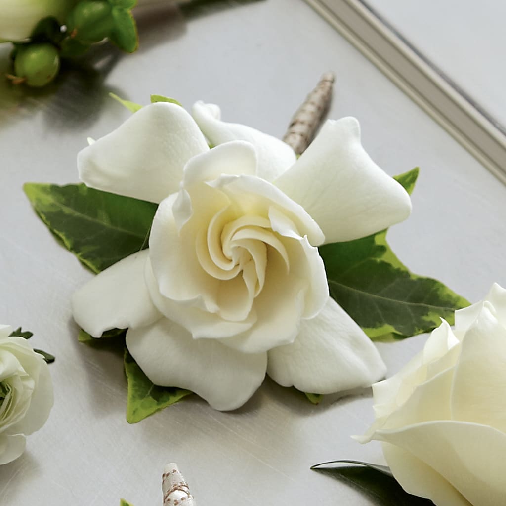 Gardenia Boutonniere – The Blessed Florist, Brandon FL
