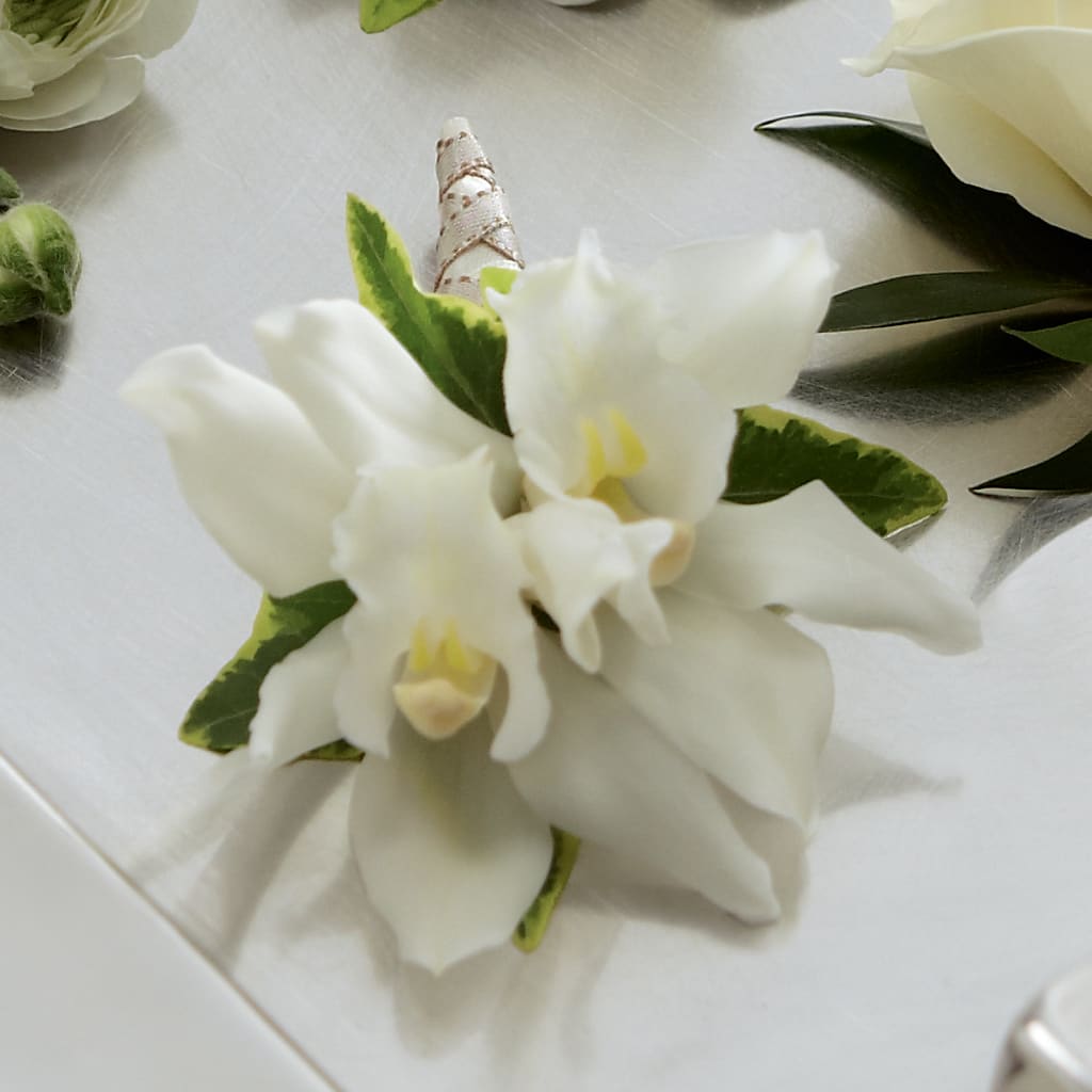 White Mini Cymbidium Boutonniere – The Blessed Florist, Brandon FL