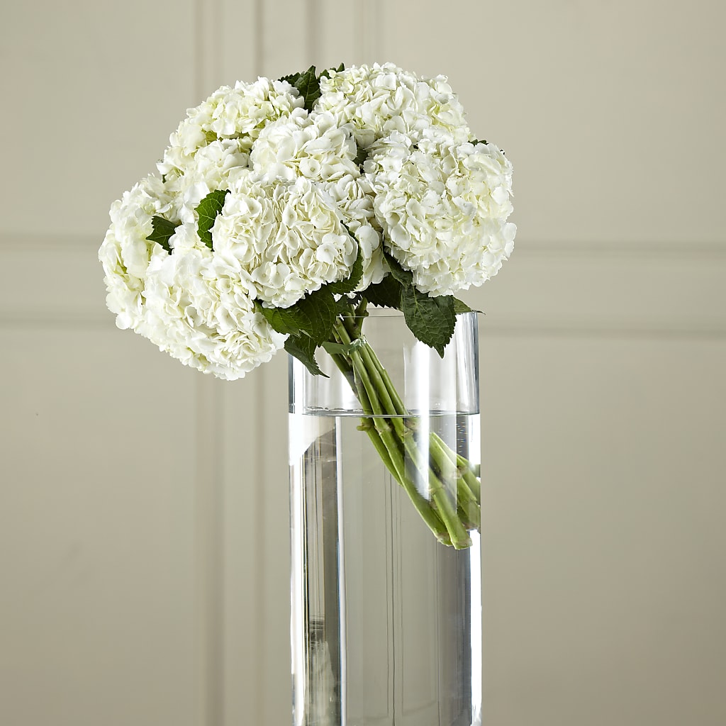 White Hydrangea Hand-Tied Bouquet – The Blessed Florist, Brandon FL