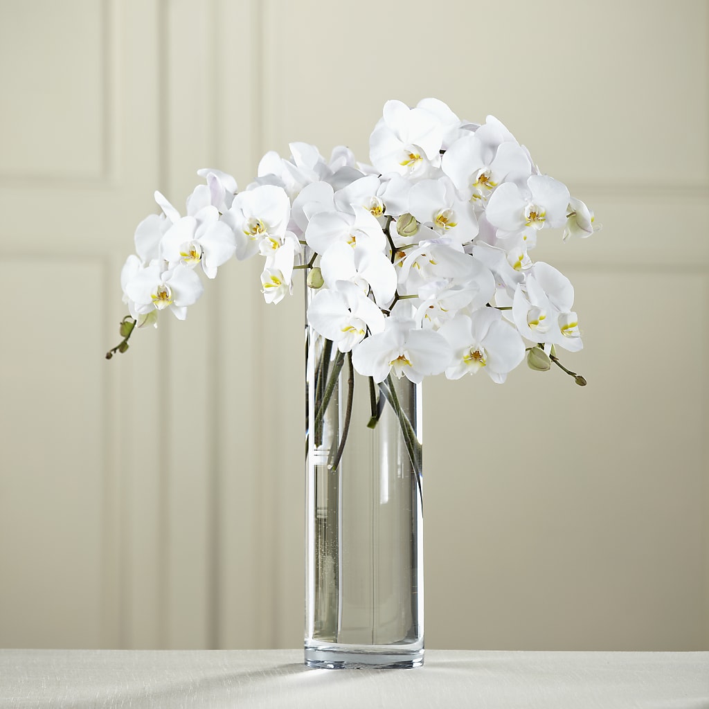 White Phalaenopsis Bouquet – The Blessed Florist, Brandon FL