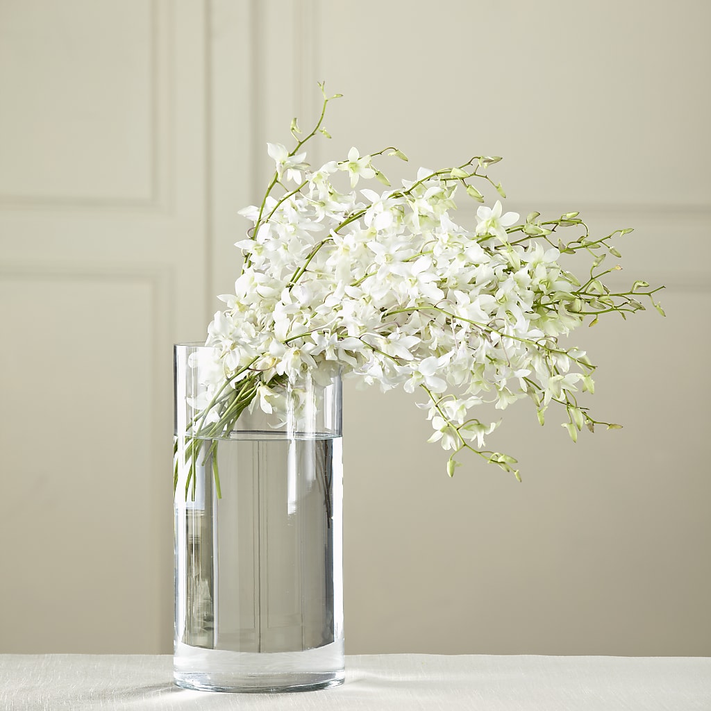 White Dendrobium Bouquet – The Blessed Florist, Brandon FL