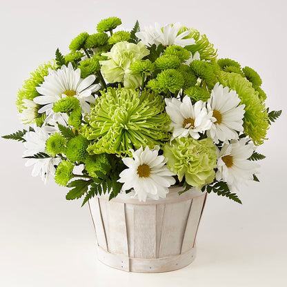 Lucky Charm Basket (Standard) –  The Blessed Florist, Brandon FL