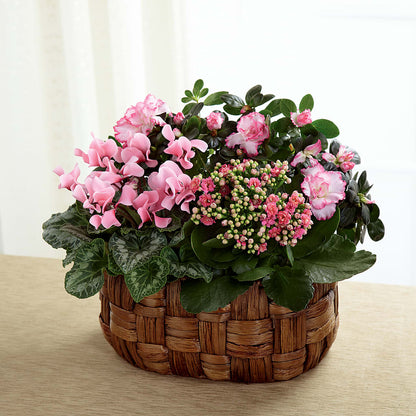 Pink Assortment –  The Blessed Florist, Brandon FL