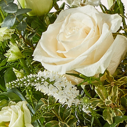 Cashmere Bouquet –  The Blessed Florist, Brandon FL