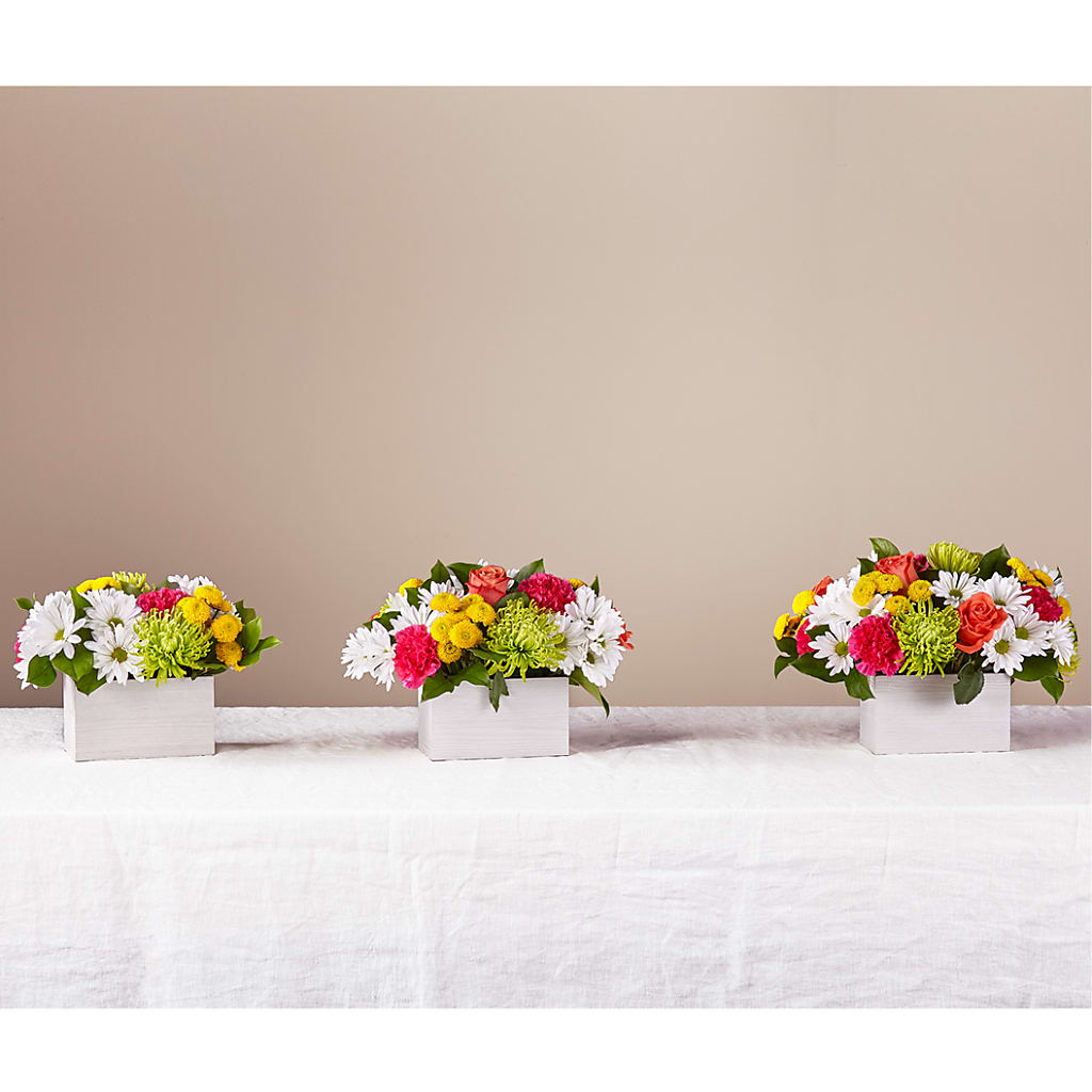 Sorbet Bouquet –  The Blessed Florist, Brandon FL