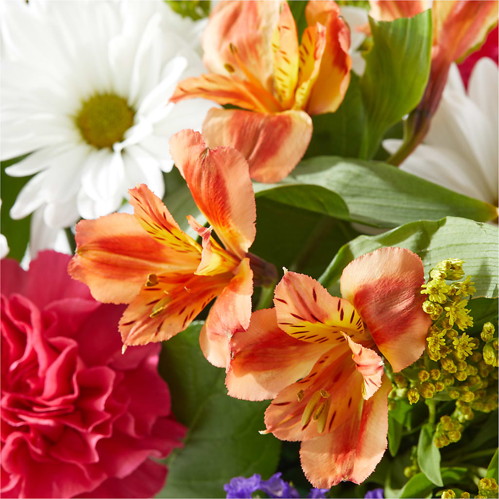 Oopsie Daisy Box Bouquet –  The Blessed Florist, Brandon FL