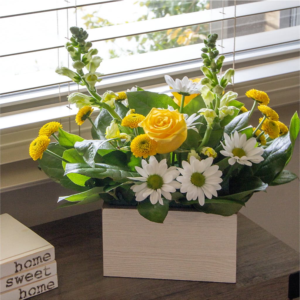 Sun Salutation Box Bouquet –  The Blessed Florist, Brandon FL