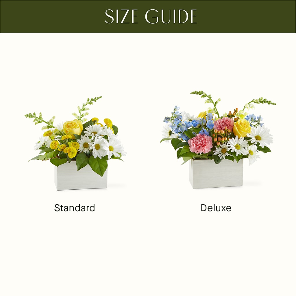 Sun Salutation Box Bouquet –  The Blessed Florist, Brandon FL