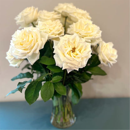 Long Stem Yellow Rose Bouquet –  The Blessed Florist, Parrish FL