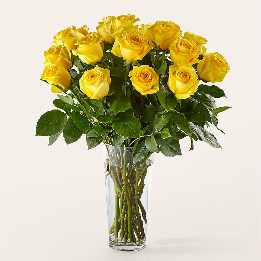 Long Stem Yellow Rose Bouquet –  The Blessed Florist, Parrish FL