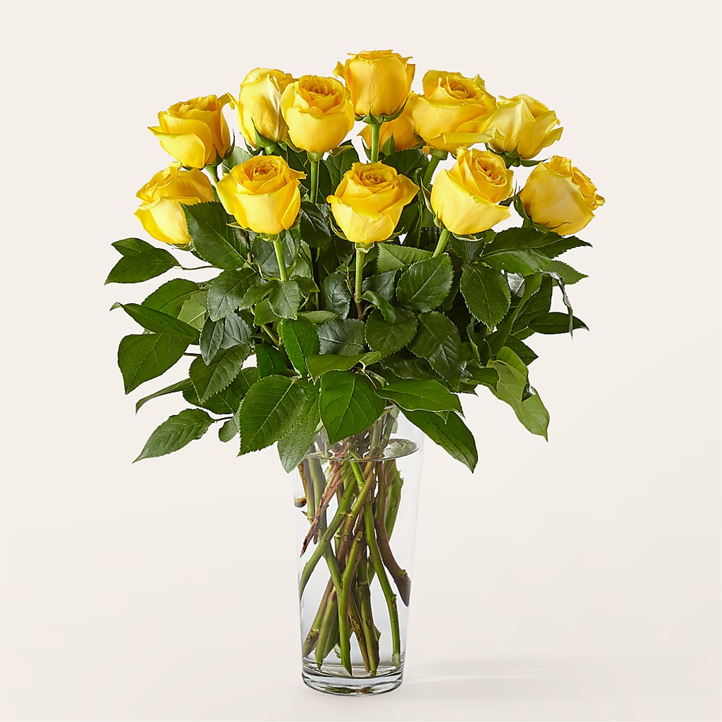 Long Stem Yellow Rose Bouquet –  The Blessed Florist, Parrish FL