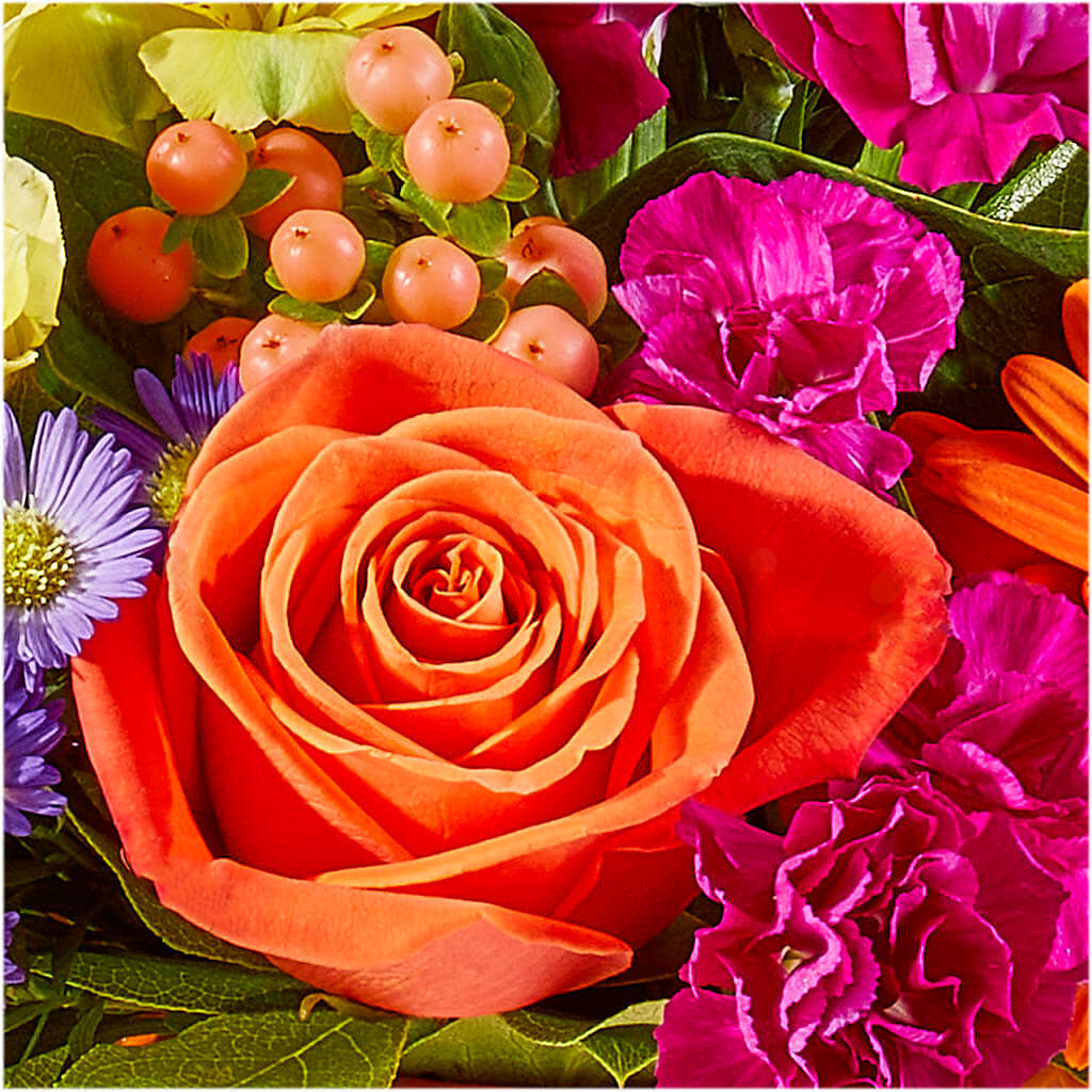 Tricks & Treats Pumpkin –  The Blessed Florist, Parrish FL