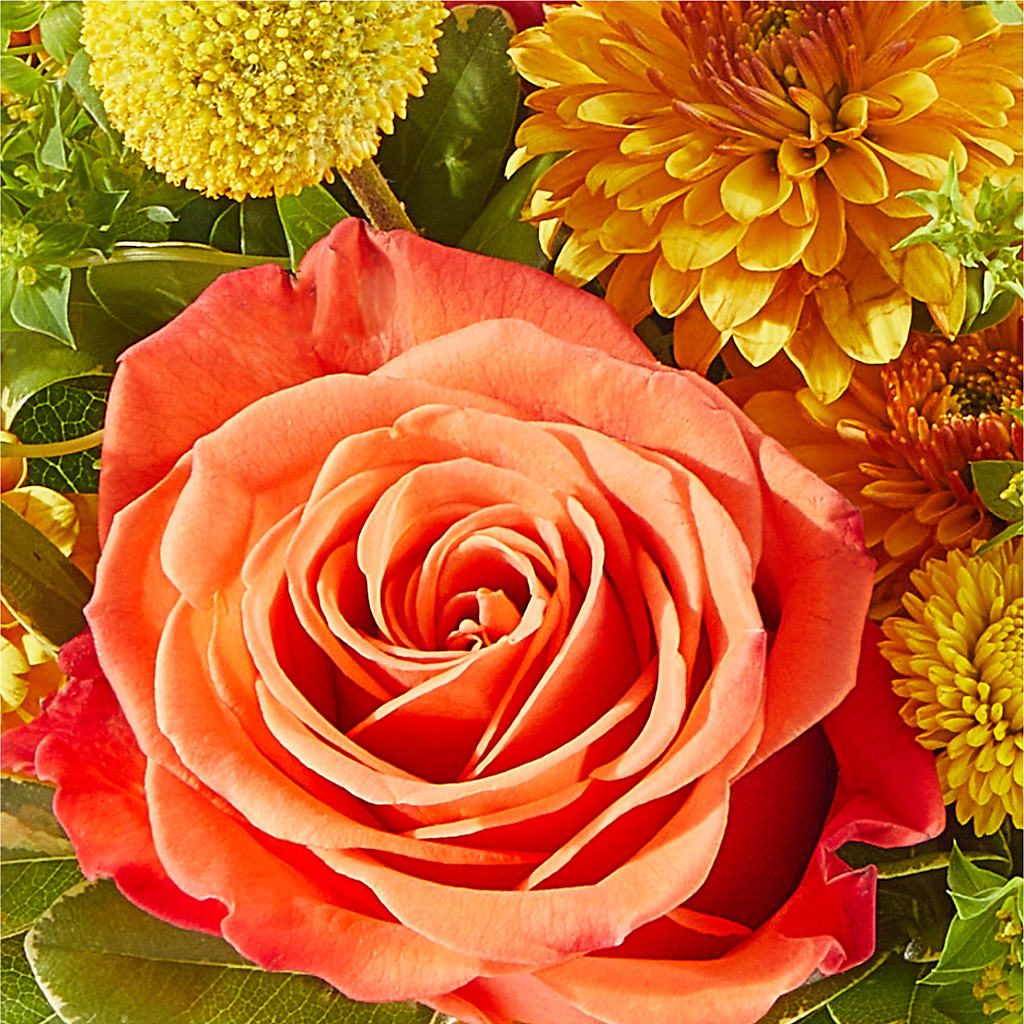 Gourdgeous Pumpkin –  The Blessed Florist, Parrish FL