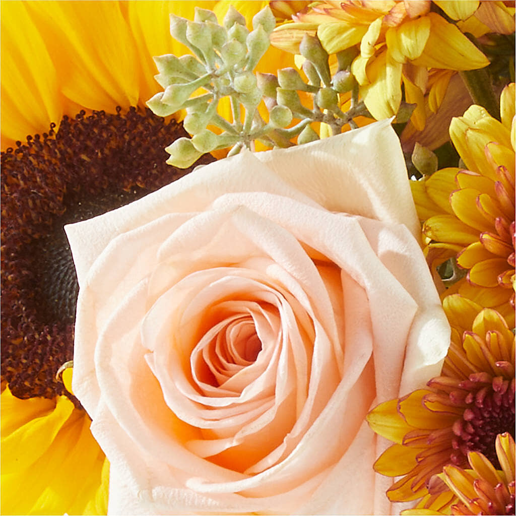 Pumpkin to Talk About Bouquet –  The Blessed Florist, Parrish FL