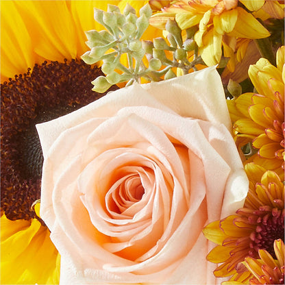 Pumpkin to Talk About Bouquet –  The Blessed Florist, Parrish FL