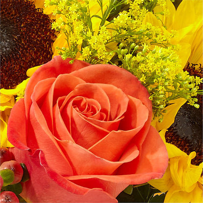 Pick of the Patch Pumpkin Bouquet –  The Blessed Florist, Brandon FL