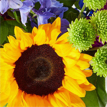 Catching Rays Bouquet –  The Blessed Florist, Brandon FL
