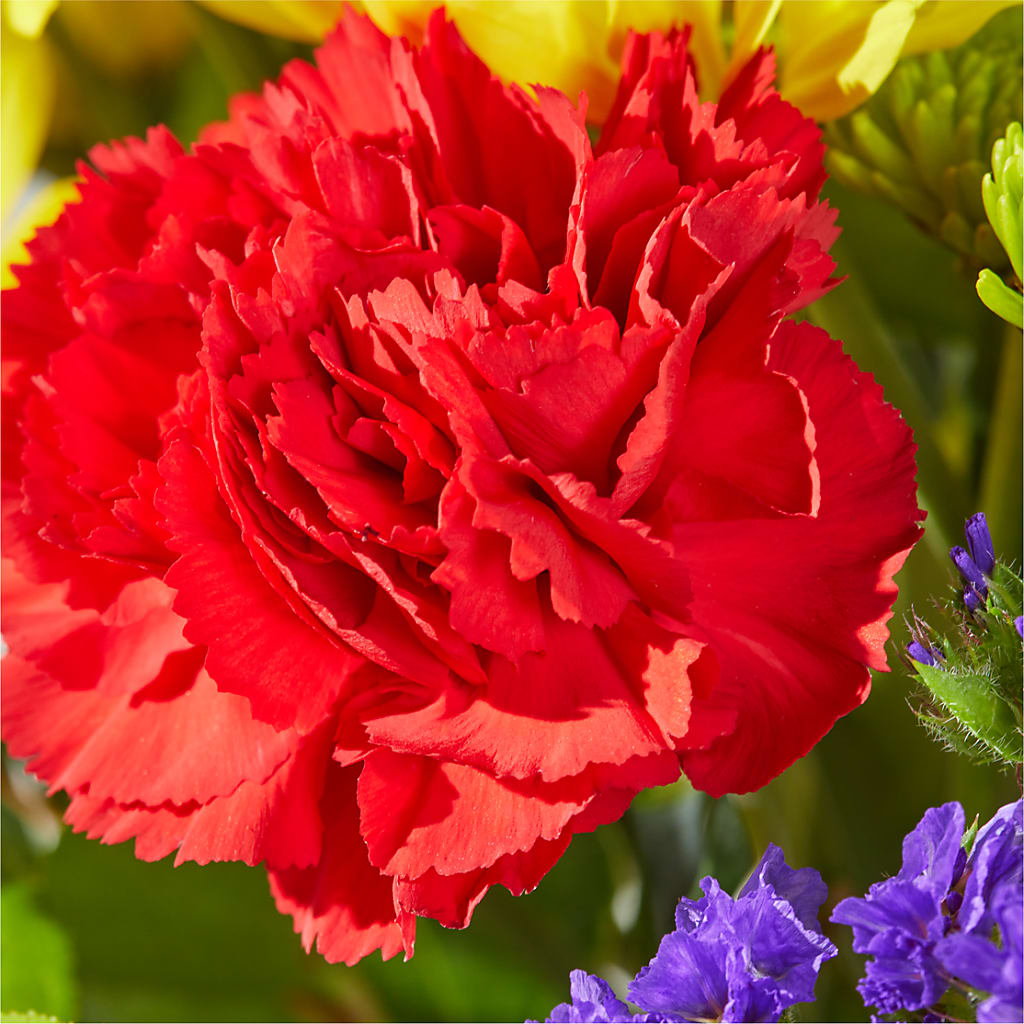 Brighter Days Bouquet –  The Blessed Florist, Brandon FL