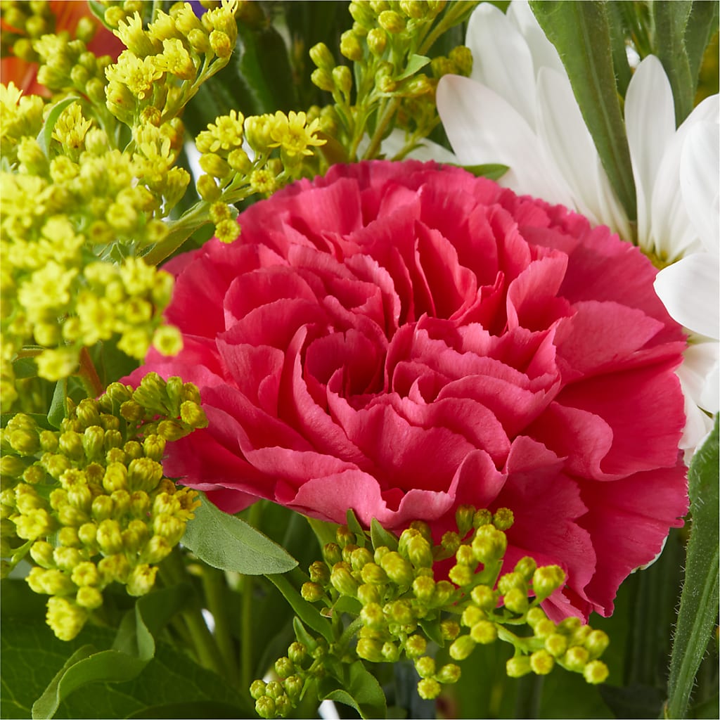 Oopsie Daisy Bouquet –  The Blessed Florist, Brandon FL